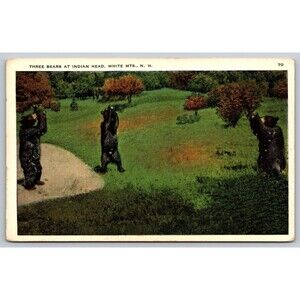 Postcard New Hampshire White Mountains Three Bears at Indian Head Unposted c1920